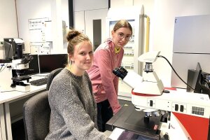 FWJ_Berkenhoff_Prichodko_2025-2026